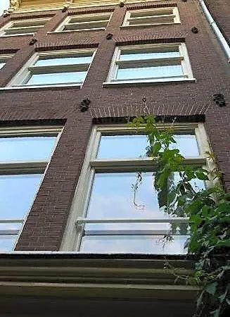 Westviolet Amsterdam
