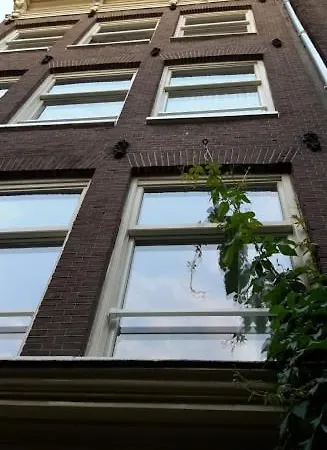 Bed & Breakfast Westviolet 2*